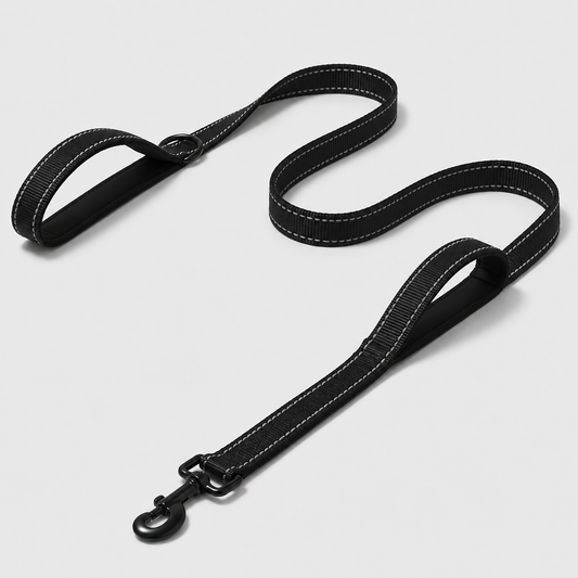 Black dog leash with white stitching on a light grey background