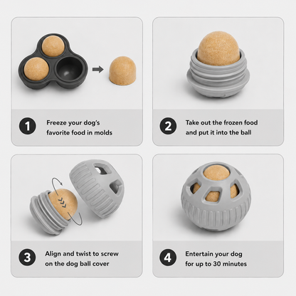 Step-by-step guide on how to use a frozen food ball maker with a grey ball and frozen food ball insert.