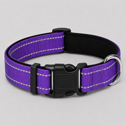 Purple dog collar with reflective stripes on a light grey background