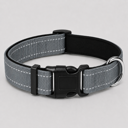 Grey dog collar with black buckle on a light grey background