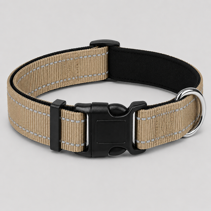 Stone dog collar with black buckle on a light grey background