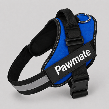 Blue dog harness with black straps and reflective strip on a gray background