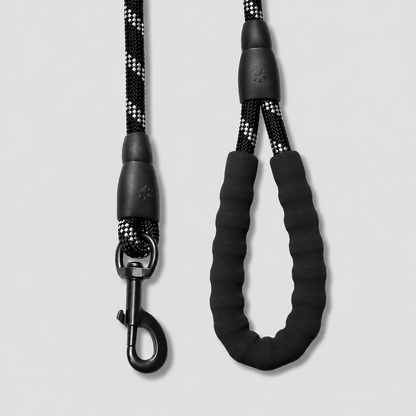 Black dog leash with a clip on a light gray background
