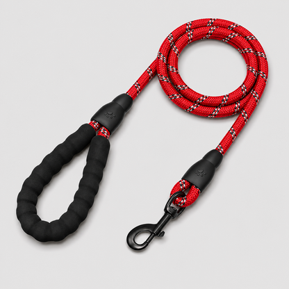 Red and black braided dog leash on a light gray background