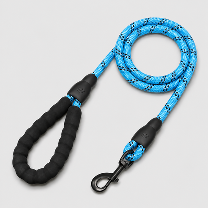 Blue and black dog leash on a light gray background