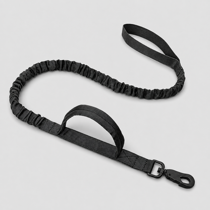 Black dog leash on a light grey background