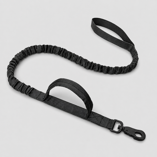 Black dog leash on a light grey background