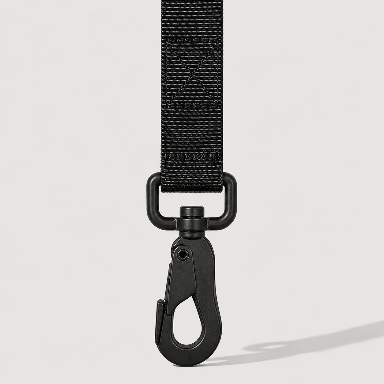 Black dog leash with clip on a light grey background